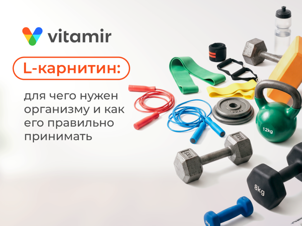 L-карнитин: для чего нужен организму и как его правильно принимать
