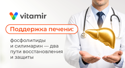 Поддержка печени: фосфолипиды и силимарин — два пути восстановления и защиты - статья от витамир