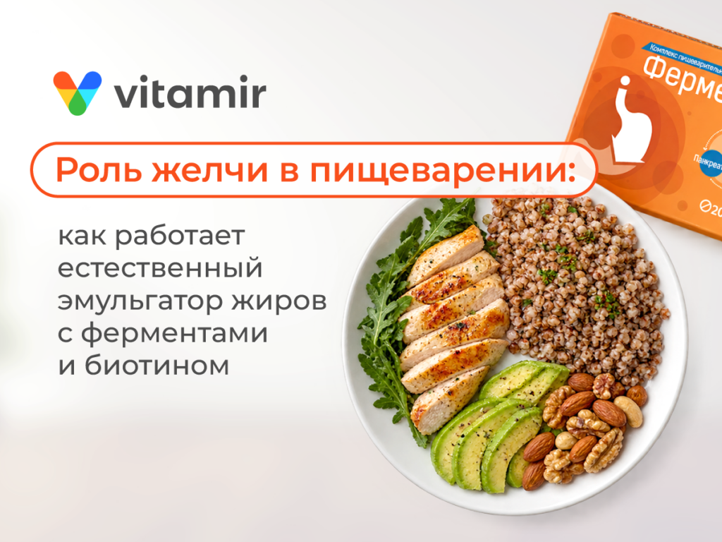 Роль желчи в пищеварении: как работает естественный эмульгатор жиров с ферментами и биотином